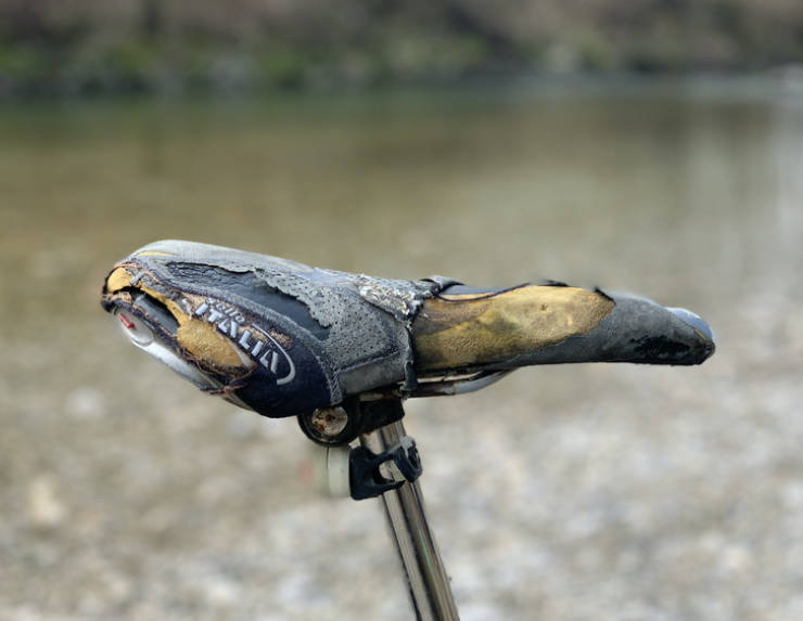 People Just Couldn’t Stop Using Their Favorite Things…