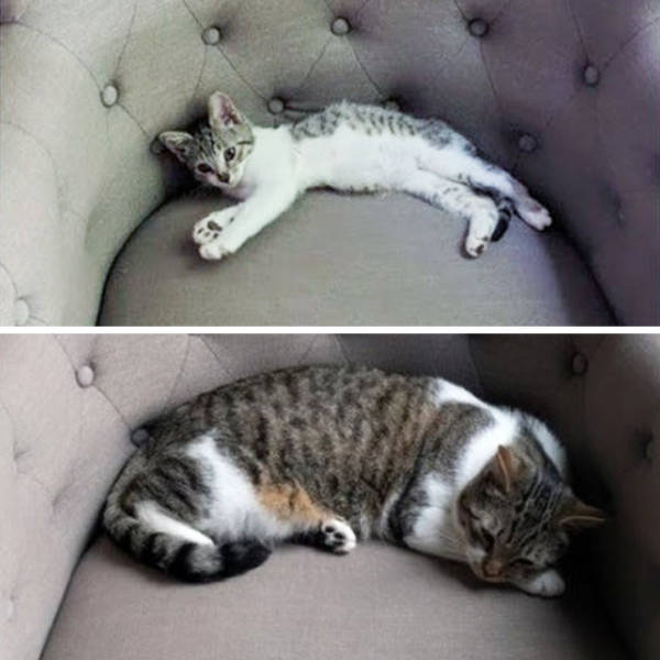 People Just Couldn’t Stop Using Their Favorite Things…