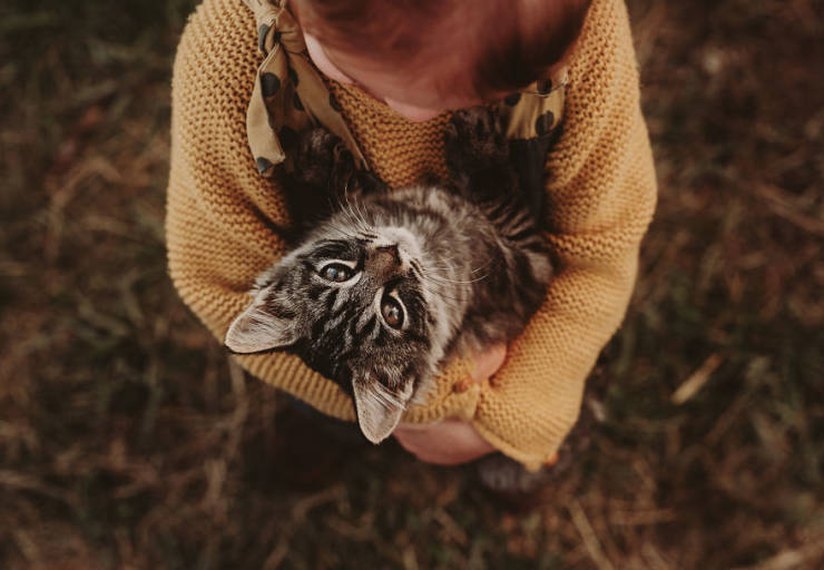 Children With Animals = Maximum Cuteness