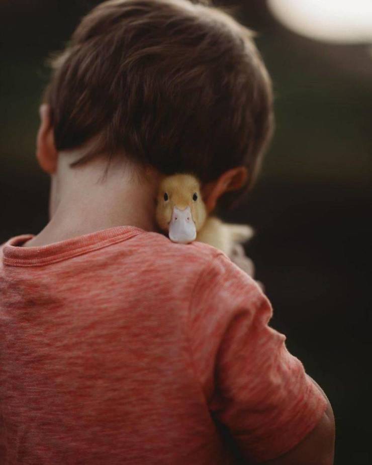 Children With Animals = Maximum Cuteness