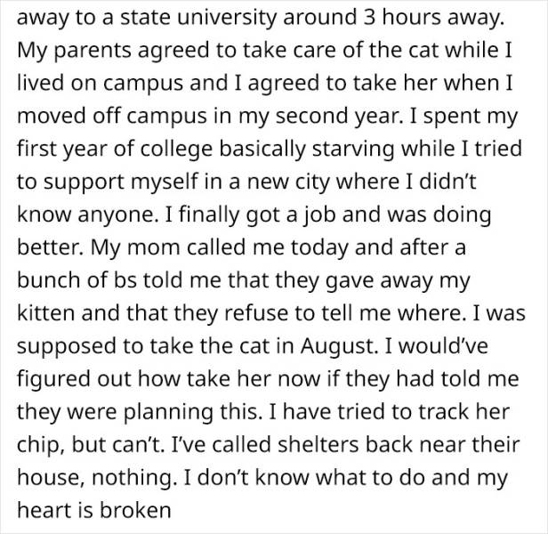 College Student Gives Cat To Parents, Finds Out They Gave It Away