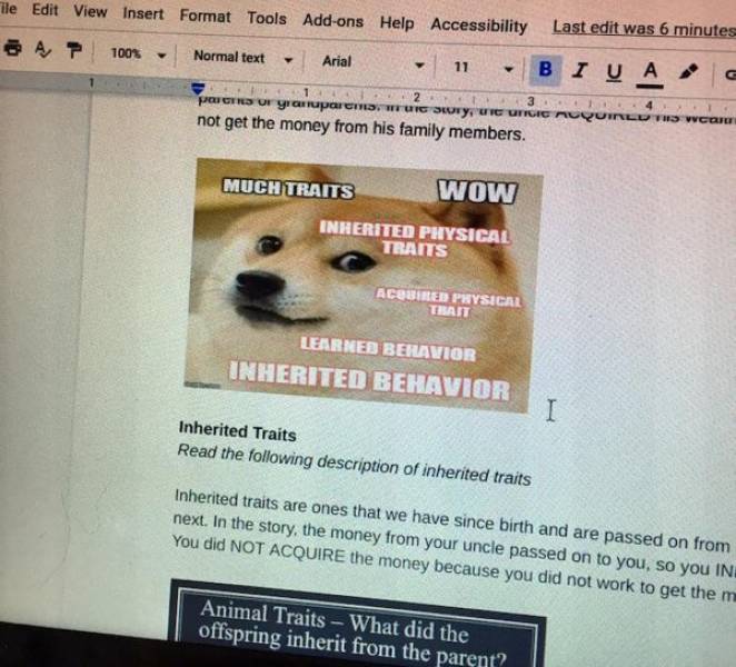 Teachers Try To Up Their Meme Game