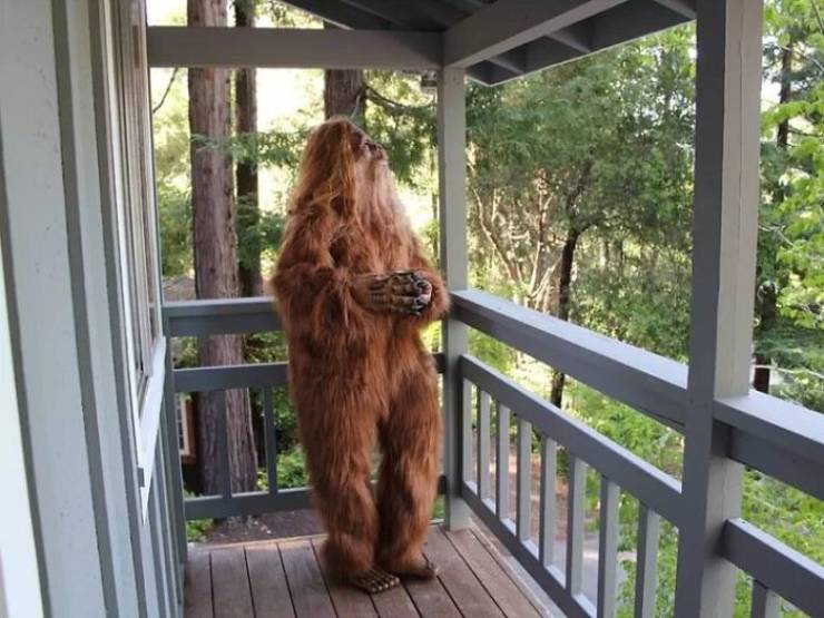 Bigfoot Approves This House Listing!