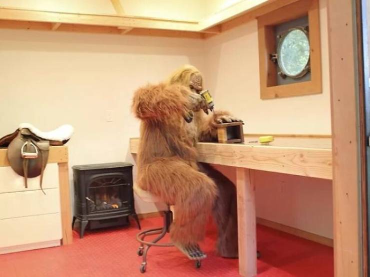 Bigfoot Approves This House Listing!
