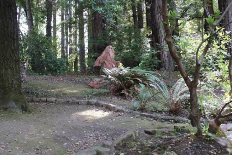 Bigfoot Approves This House Listing!