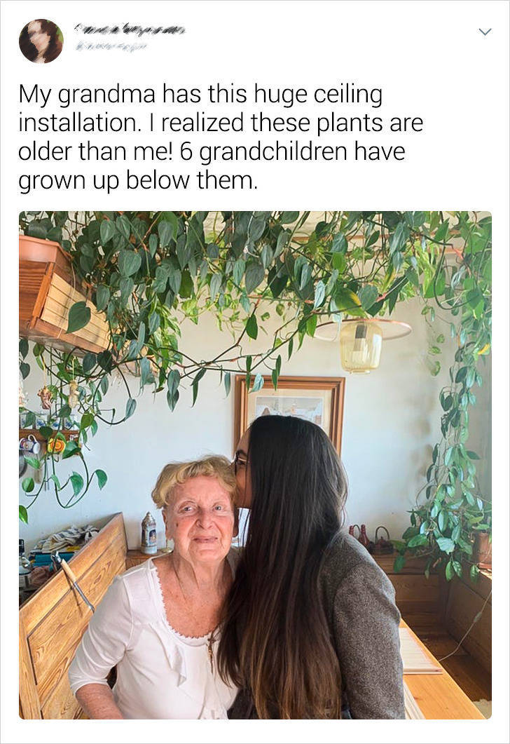 These Grandmothers Are Still Young Inside!