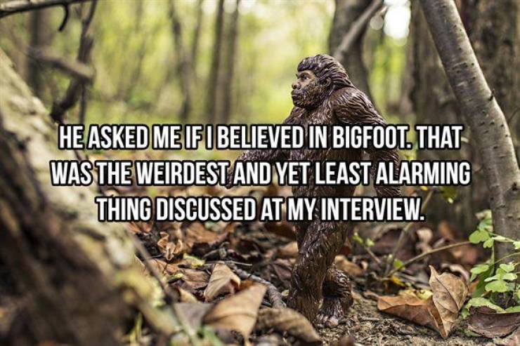 Some Interview Questions Are Just Not Okay…