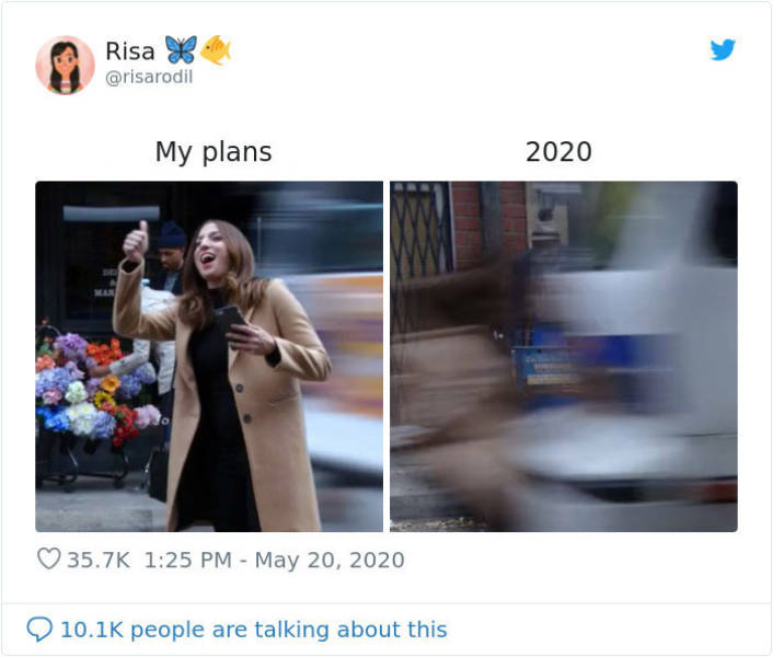 Memes Can’t Describe Our Plans Vs. 2020