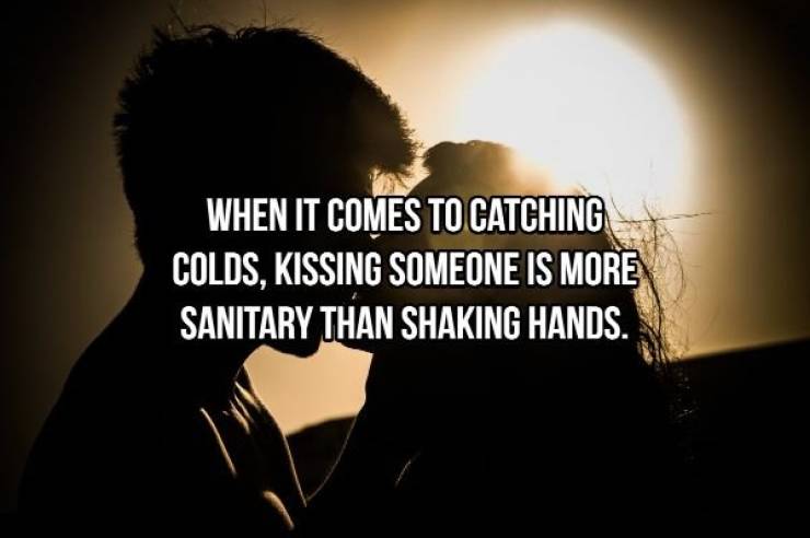 What You Should Know About Kissing