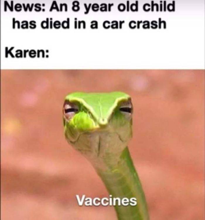 Karens Never Disappear