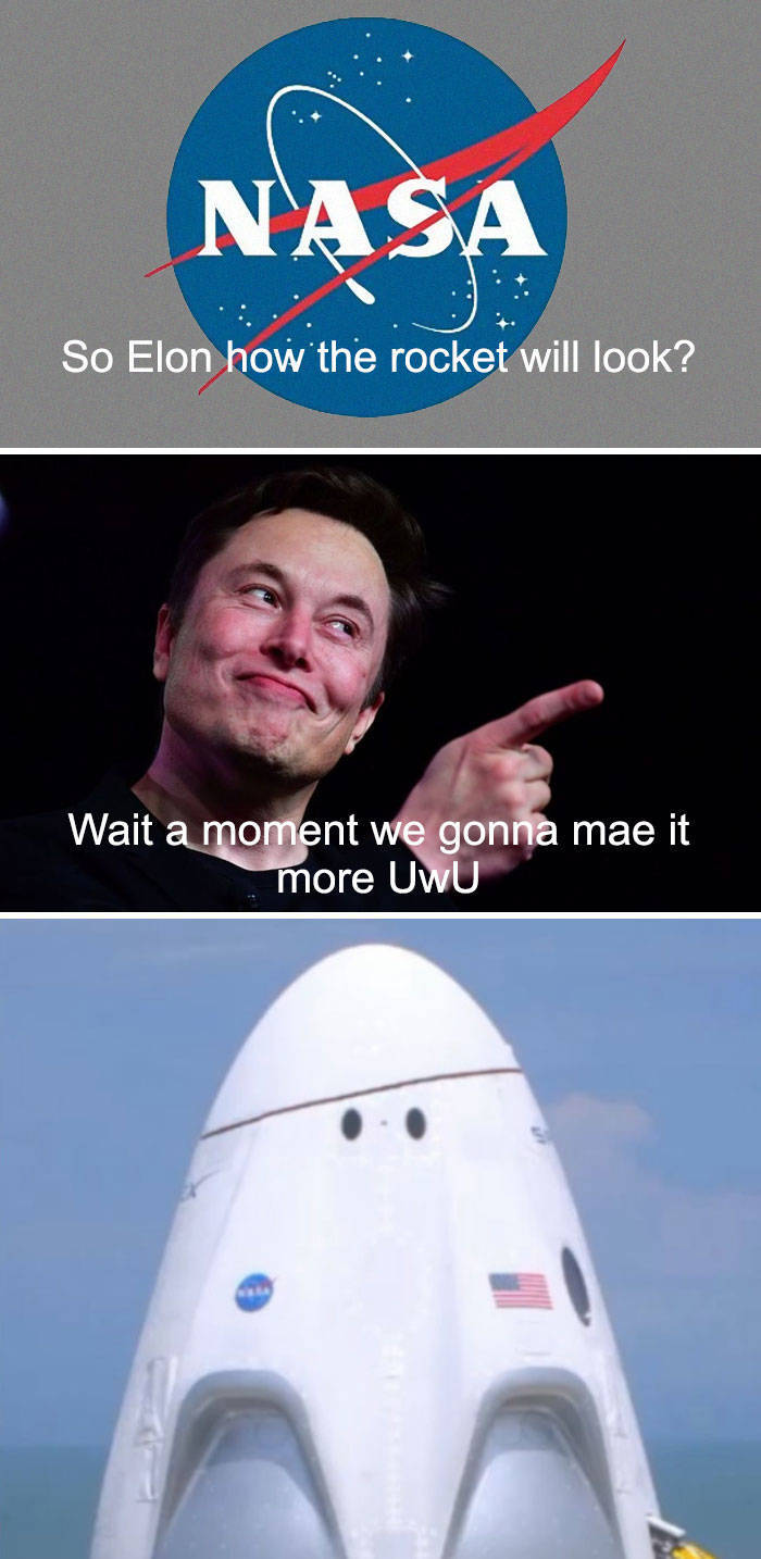 Internet Nails It With Reactions To SpaceX Rocket Launch