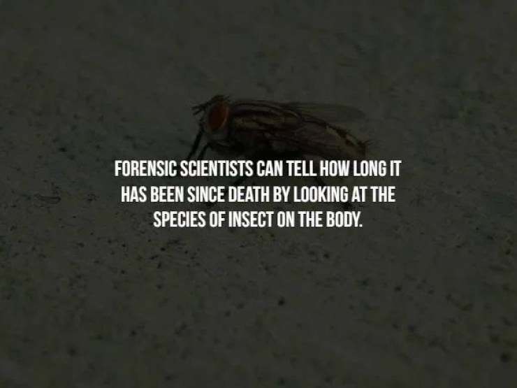You Can’t Hide From These Creepy Facts…