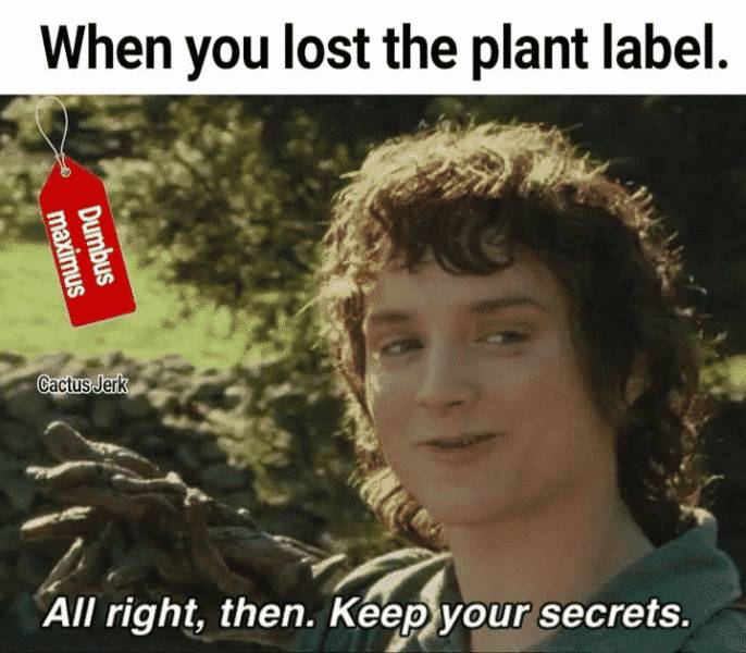 Don’t You Love Plants And Memes?