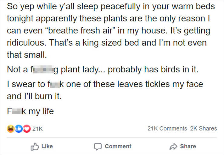 Husband Rants About His Wife’s Obsession With Gigantic Plants Inside Their House