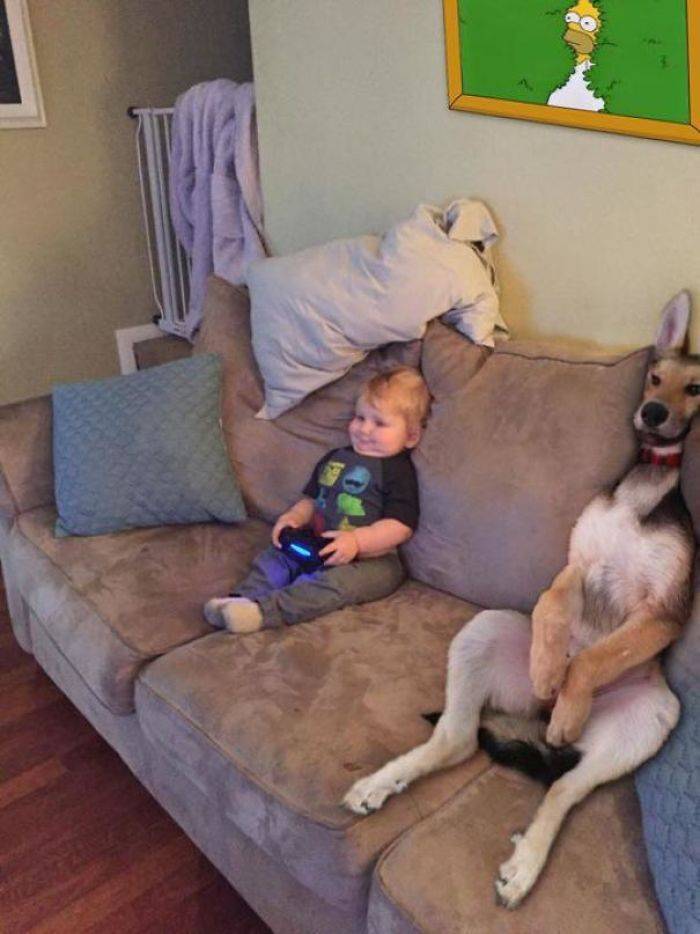 Dogs Can Always Make You Smile