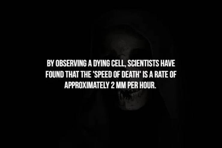 Chill With These Creepy Facts, But In A Wrong Way