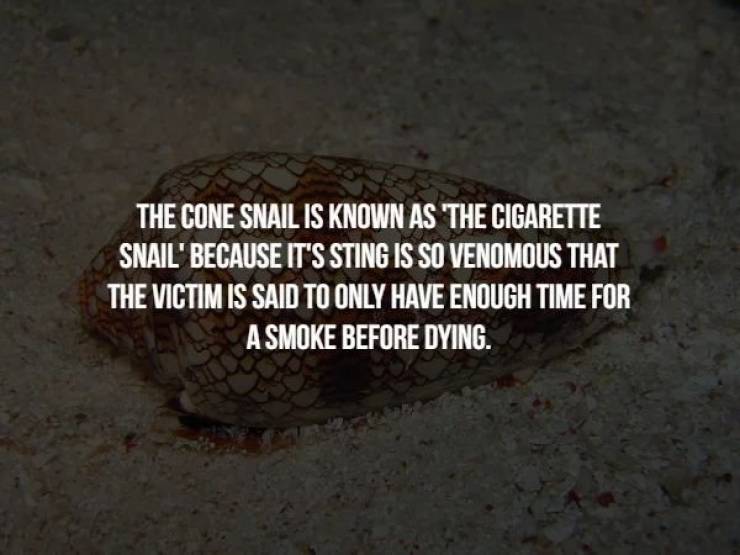 Chill With These Creepy Facts, But In A Wrong Way