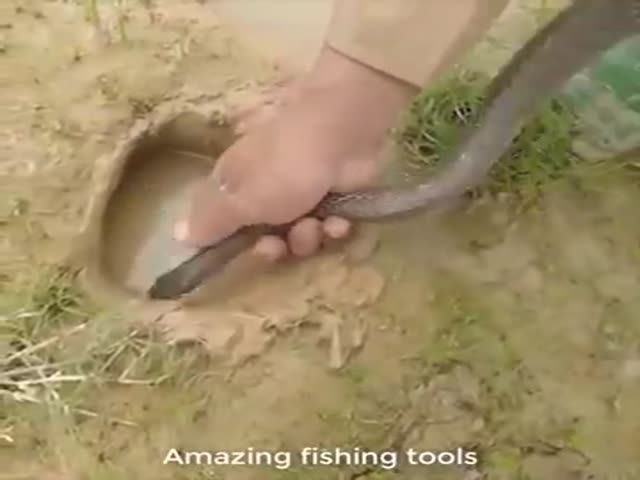 This Is Some Alternative Fishing…