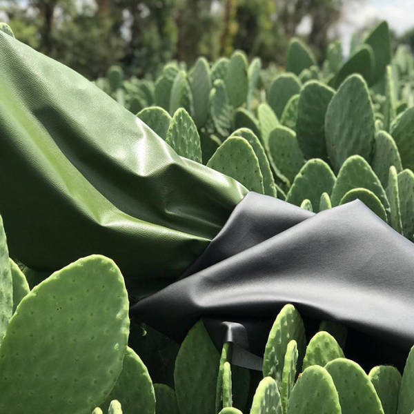 Guys Found A Way To Replace Leather With… Cactus Leather