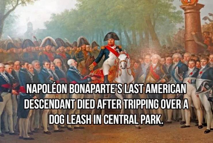 Historical Facts Never Disappoint!