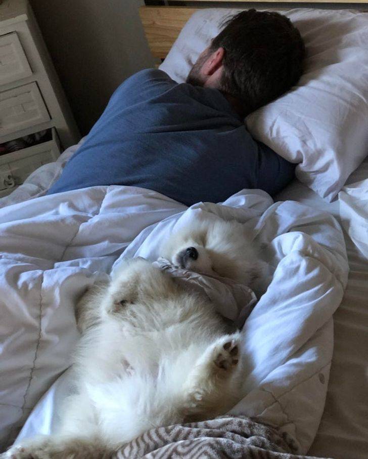 Pets And Their Owners Who Are In Love With Each Other