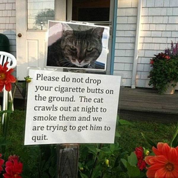Good Luck With Neighbors Such As Those…