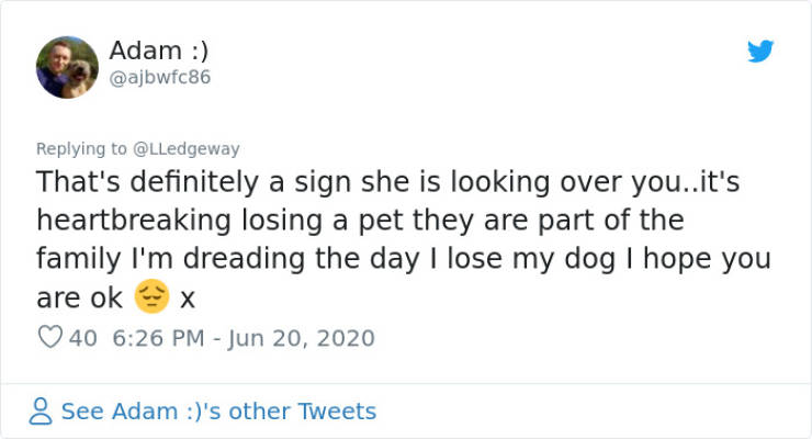 Woman Sees A Sign After Her Dog’s Death, People Share Similar Ones