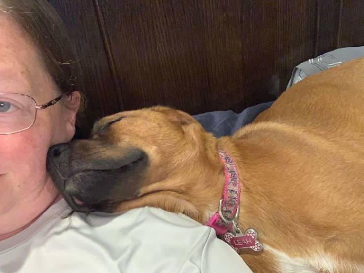 Rescued And Adopted Pet Stories Are So Sweet!