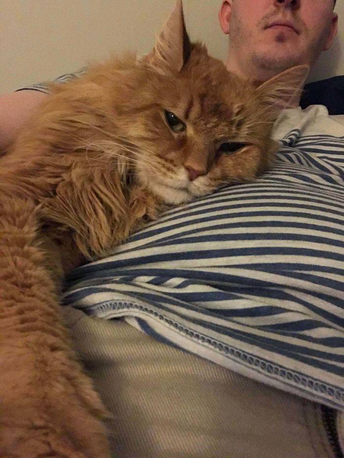 Rescued And Adopted Pet Stories Are So Sweet!