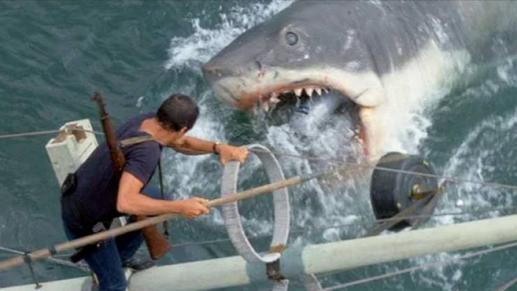 These “Jaws” Facts Could Devour You!