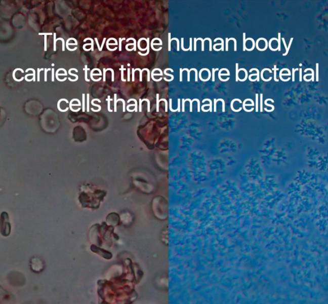 These Science Facts Are Even Smarter Than Usual!
