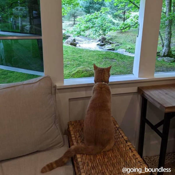 Couple Turns An Old ’90s School Bus Into Their New Home