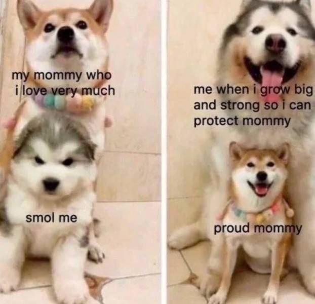 Wholesome Memes Are Here To Help You Relax
