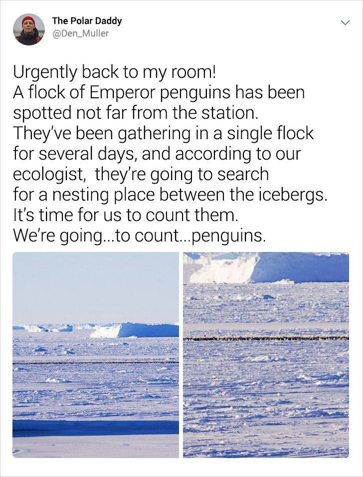 Polar Explorer Shares The Intricacies Of Living In Antarctica