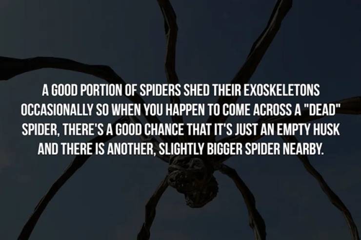 Your Heart Is Not Ready For These Creepy Facts…