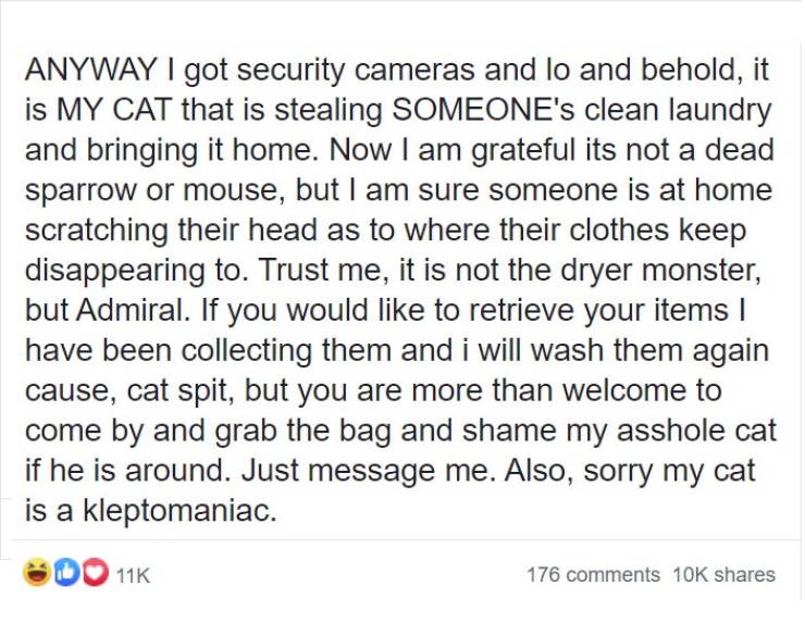 Cat Steals Neighbors’ Laundry, And Now His Owner Has To Ask People To Identify Their Stuff