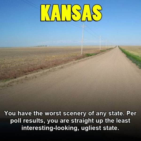 Most Embarrassing Thing About Every American State