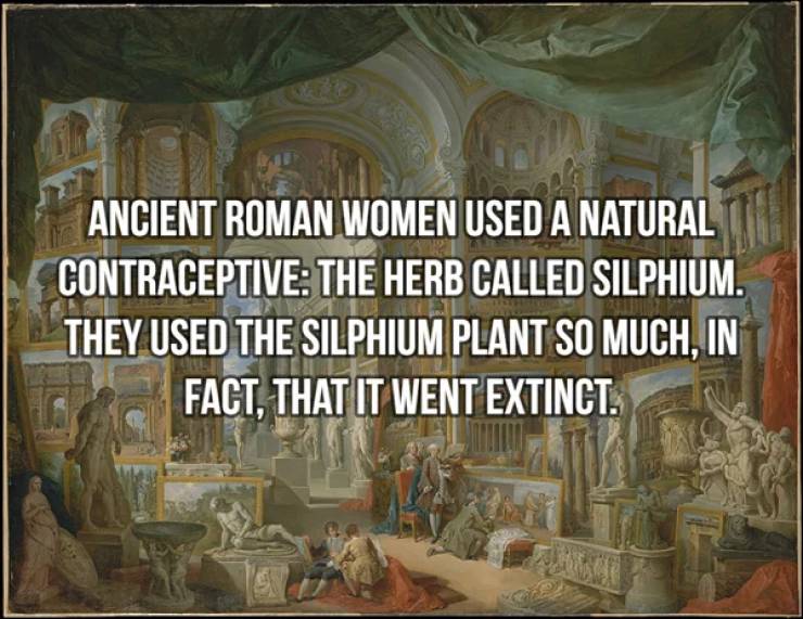 Ancient History Is So Fascinating!