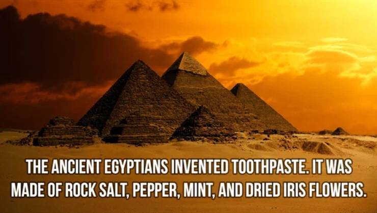 Ancient History Is So Fascinating!