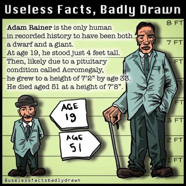 Absolutely Useless Facts Together With Bad Drawings
