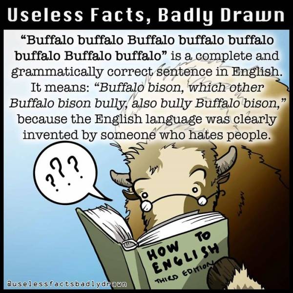 Absolutely Useless Facts Together With Bad Drawings
