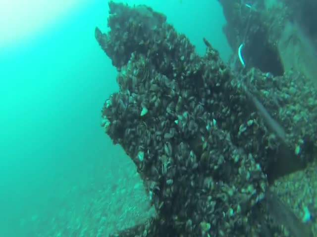 Diving Under A Big Ship