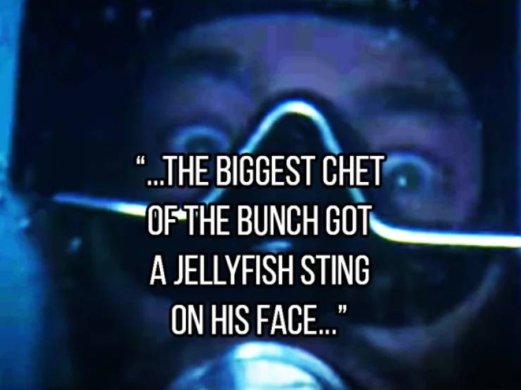 This Is Not What You Expect From A Scuba Diving Story…