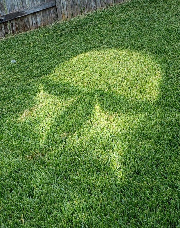 You Might Want To Take A Closer Look