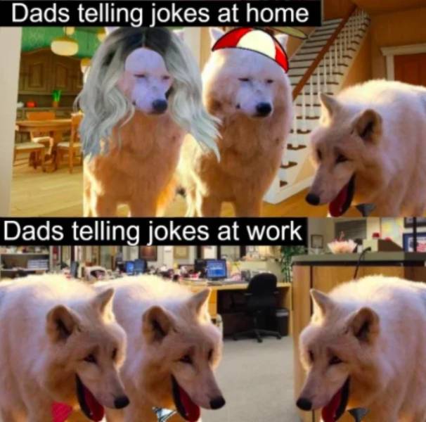 Dads Are Funny And They Know It!