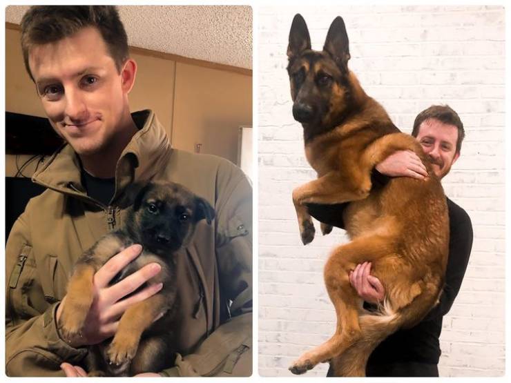 When Puppies Just Can’t Stop Growing…