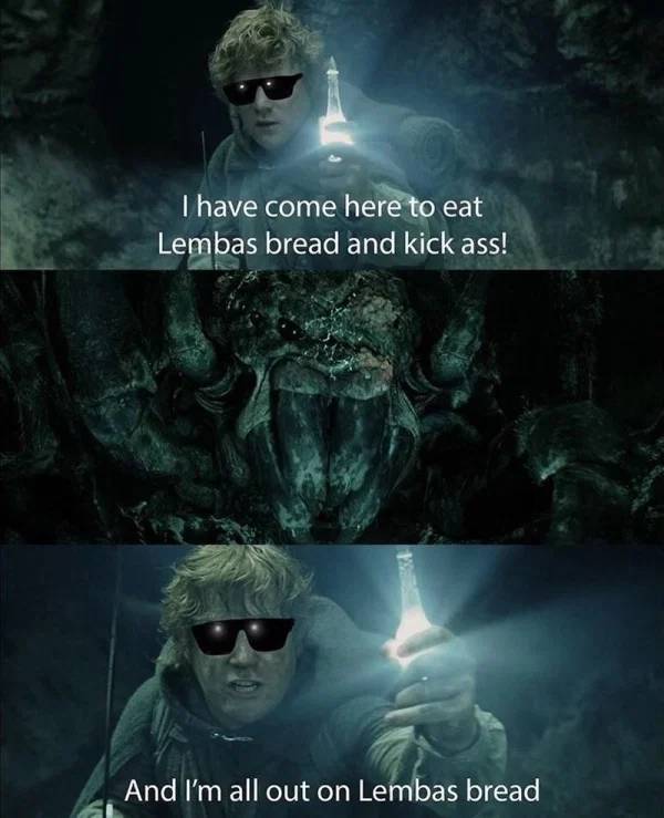 The Fellowship Of “The Lord Of The Rings” Memes