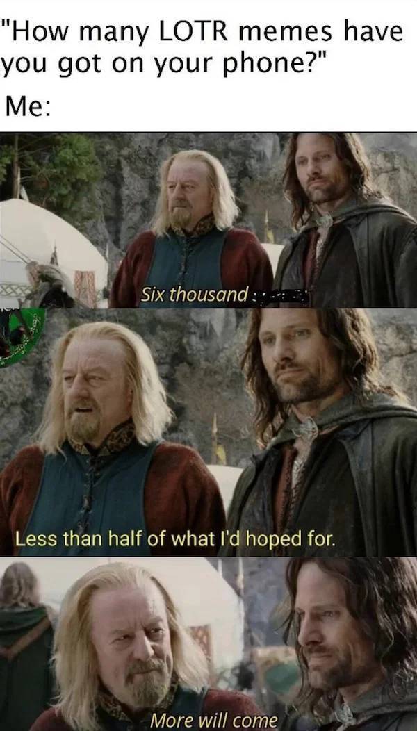 The Fellowship Of The Lord Of The Rings Memes PICS GIF Izismile Com