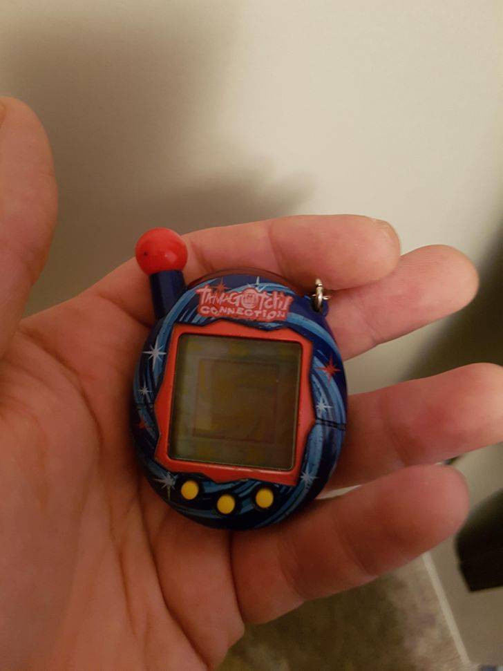 Everyone Remembers These Toys!