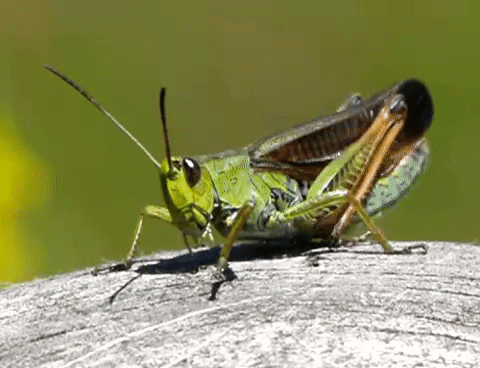 This Is Ordinary Stuff, But It’s Still Scary…